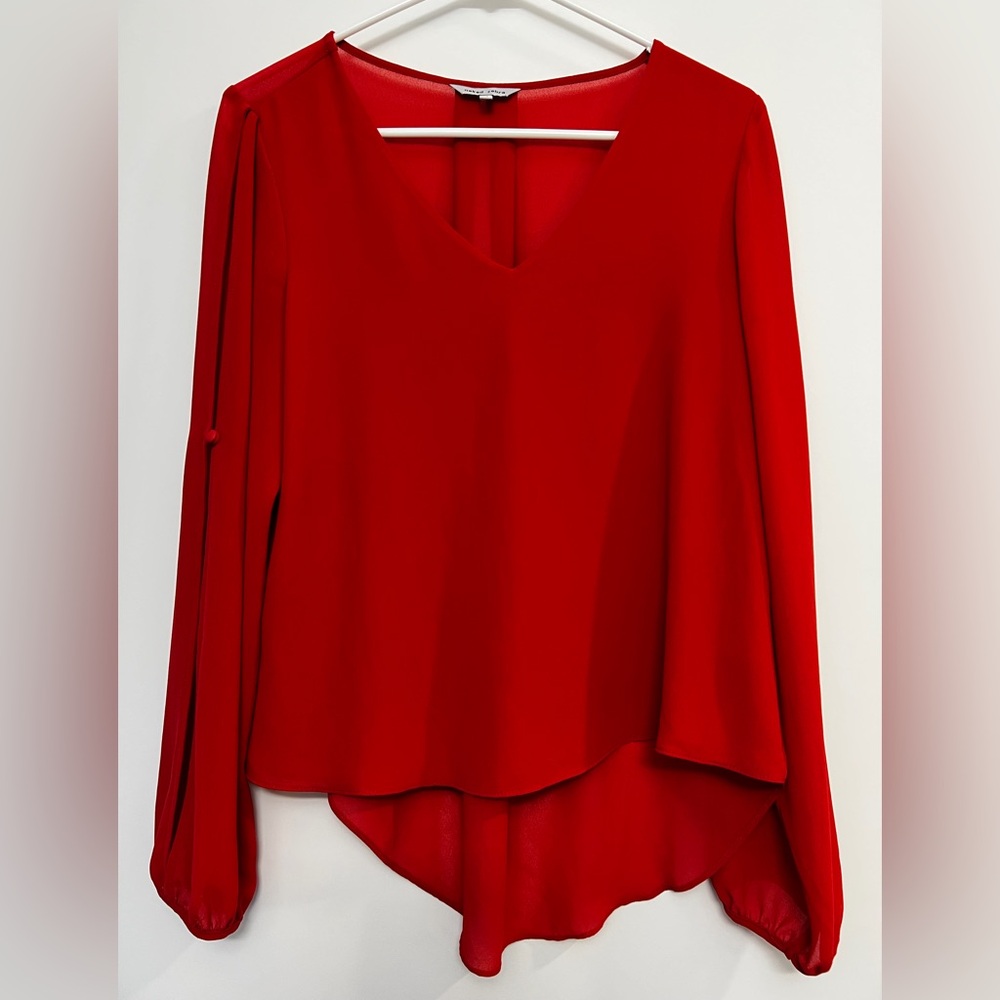 Naked Zebra V-Neck Red Blouse